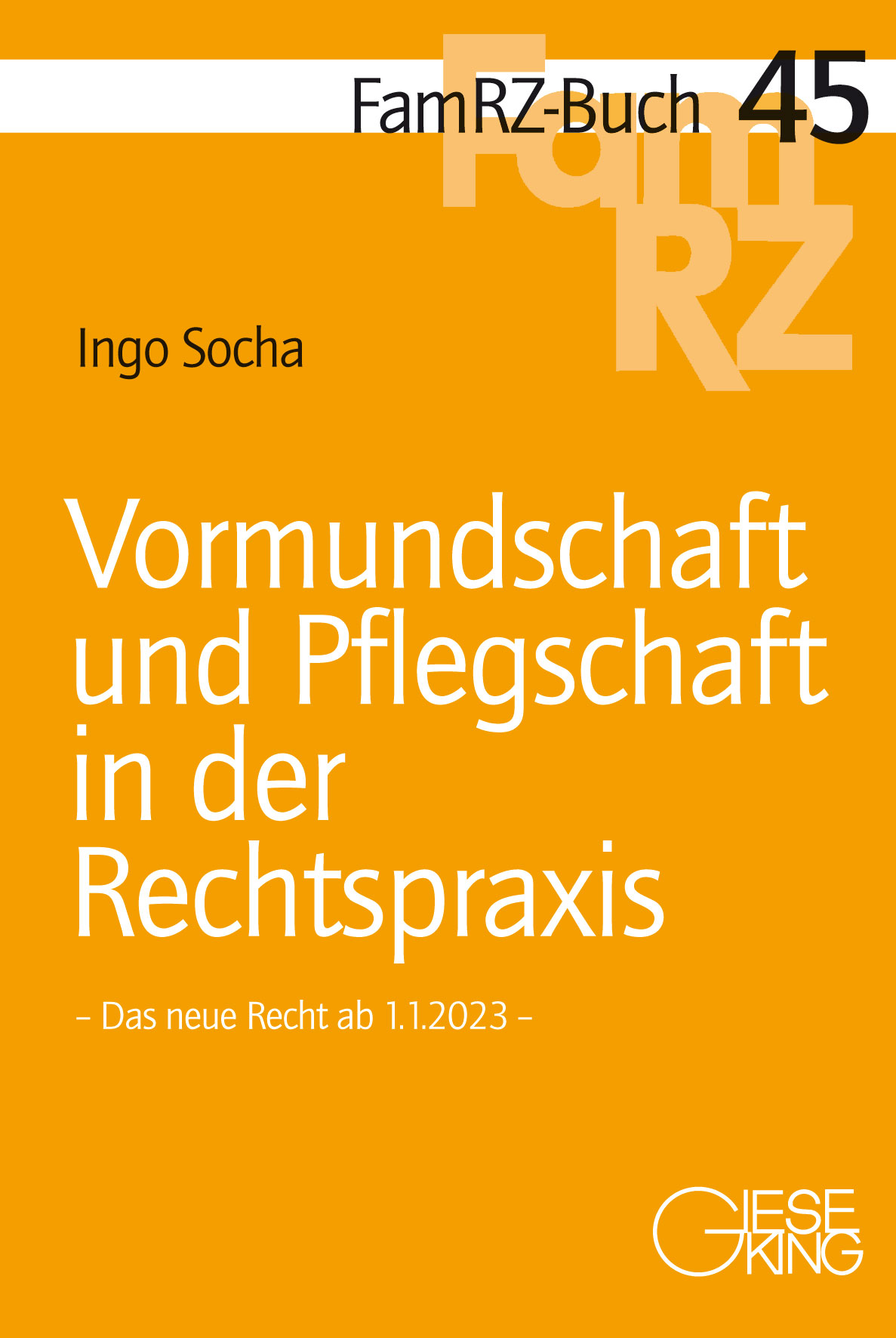 Vormundschaft und Pflegschaft in der Rechtspraxis - Das neue Recht ab 1.1.2023